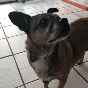 Meet your Posher, Caleb